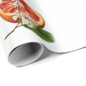 Vintage botanisch verpakkingspapier van citrusvruc cadeaupapier (Rol Hoek)