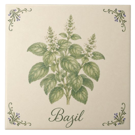 Vintage Botanische Basilicumkruid Keukentuin Tegeltje (Voorkant)