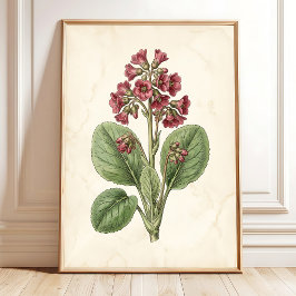 Vintage Botanische Boerderij Muurdecoratie - Antie Poster
