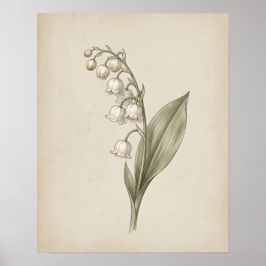 Vintage Botanische Botanique Muurkunst Poster (Voorkant)