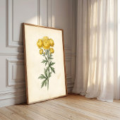 Vintage botanische canvas wandkunst print