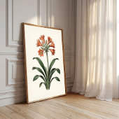 Vintage Botanische Cottagecore Canvasprint Poster