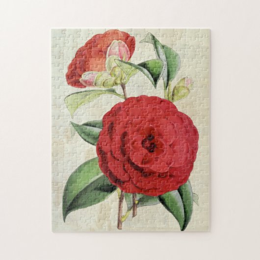 Vintage Botanische Crimson Camellia Legpuzzel (Verticaal)