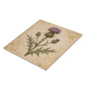 Vintage Botanische Distel Tegeltje (Zijkant)