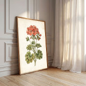 Vintage Botanische Geranium Huisdecoratie Poster