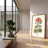 Vintage Botanische Geranium Huisdecoratie Poster
