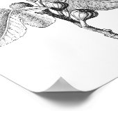 Vintage  Botanische illustratie Poster (Hoek)