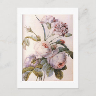 vintage botanische illustratie, roze roos briefkaart