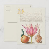 Vintage Botanische illustratie Vakantiek Briefkaar Feestdagenkaart (Voorkant / Achterkant)