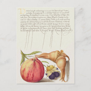 Vintage Botanische illustratie Vakantiek Briefkaar Feestdagenkaart