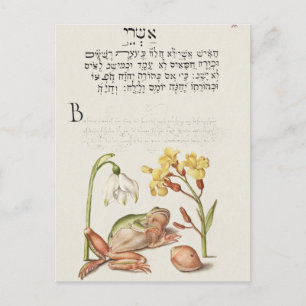 Vintage Botanische illustratie Vakantiek Briefkaar Feestdagenkaart