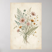 Vintage botanische illustratie van wilde bloemen