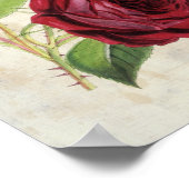 Vintage botanische komte de Falloux Roos Poster (Hoek)