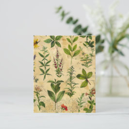 Vintage botanische kruiden scrapbook papier