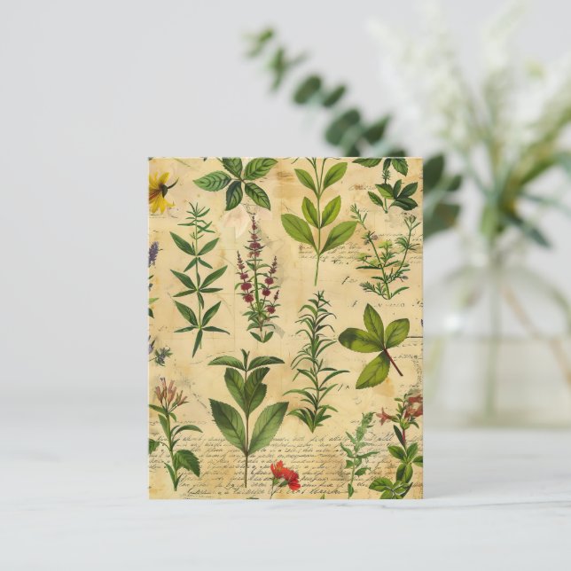 Vintage botanische kruiden scrapbook papier (Staand voorkant)