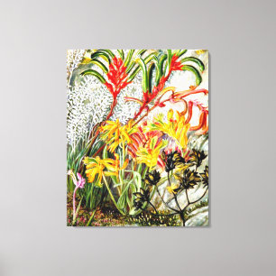 Vintage botanische kunst, West-Australische bloeme Canvas Afdruk