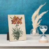 Vintage Botanische Lily Fotoplaat (Zijkant)