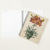 Vintage Botanische Lily Planner (Display)