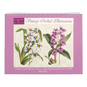 Vintage Botanische Orchideeën Illustraties 2027 Kalender