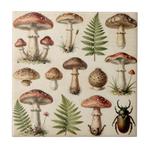 Vintage botanische paddestoel varen collage tegeltje