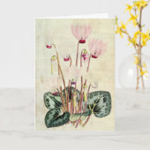 Vintage Botanische Perzische Cyclamen Kaart (Gele Bloem)
