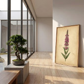 Vintage Botanische Print van Lysimachia