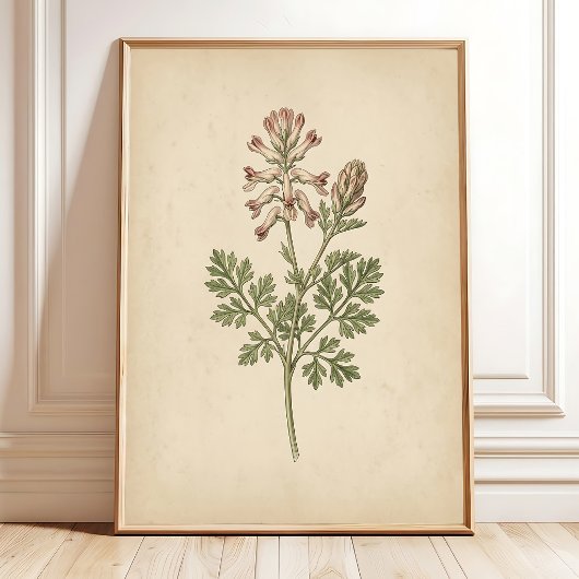 Vintage botanische print wandkunst Boho stijl