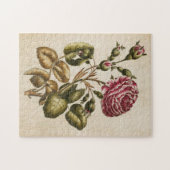 Vintage botanische Roos Legpuzzel (Horizontaal)