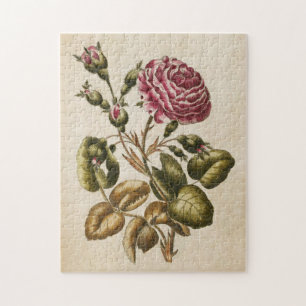 Vintage botanische Roos Legpuzzel