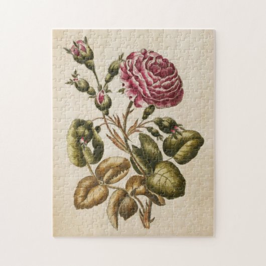 Vintage botanische Roos Legpuzzel (Verticaal)