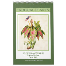 Vintage Botanische Tropische Planten 2027
