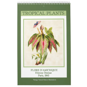 Vintage Botanische Tropische Planten 2027 Kalender