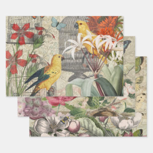 Vintage Botanische Vogel Natuur Antiek Tropisch Inpakpapier Vel