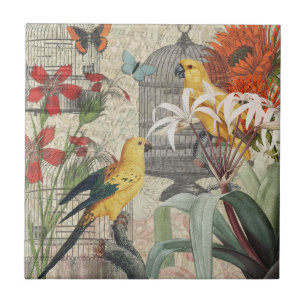 Vintage Botanische Vogel Natuur Antiek Tropisch Tegeltje