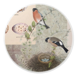 Vintage Botanische Vogelnesteieren Cactus Ephemera Keramische Knop