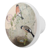 Vintage Botanische Vogelnesteieren Cactus Ephemera Keramische Knop (Rechts)