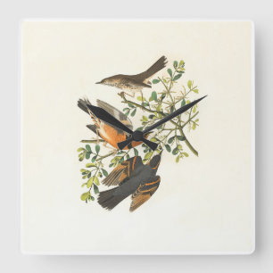 Vintage Botanische Vogels Illustratie Vierkante Wa Klok