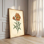 Vintage botanische wandkunst canvasprint poster