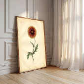 Vintage botanische wandkunst poster