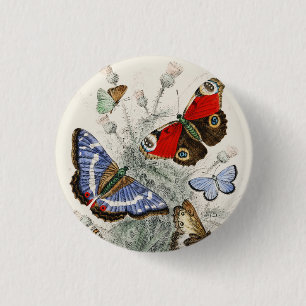 Vintage botanische wetenschappelijke illustratie v ronde button 3,2 cm