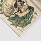 Vintage Botany en botten boek 2 ontkoppeling Tissuepapier (Detail)