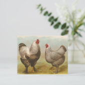 Vintage Brahma Rooster en Hen Briefkaart (Staand voorkant)