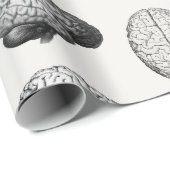 Vintage Brain Anatomy Biology Illustrations Cadeaupapier (Rol Hoek)