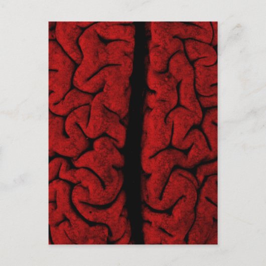 Vintage Briefkaart (Voorkant)