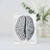 Vintage Briefkaart (Staand voorkant)