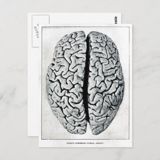 Vintage Briefkaart (Voorkant / Achterkant)