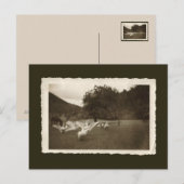 Vintage briefkaart - ganzen en paarden (Voorkant / Achterkant)