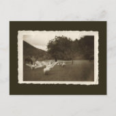 Vintage briefkaart - ganzen en paarden (Voorkant)
