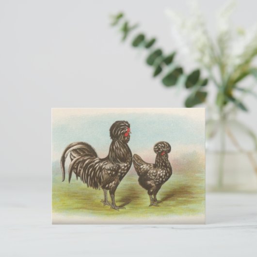 Vintage Briefkaart "Houdan Chickens" (Staand voorkant)