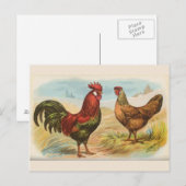 Vintage Briefkaart "Leghorn Chickens" (Voorkant / Achterkant)